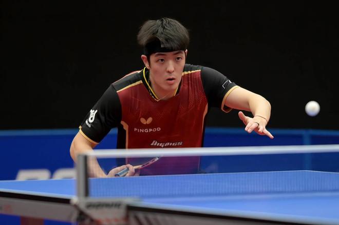 积极主动的 积极主动的