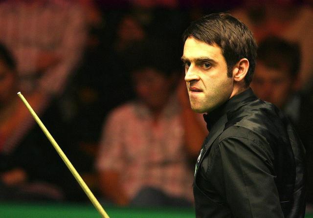 这个团队的 这个团队的