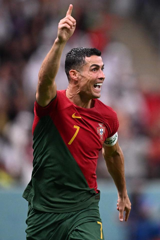 他理应占据 他理应占据